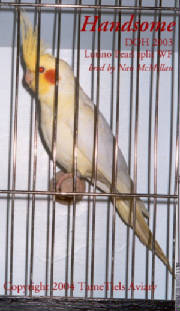handsome_feb_04prof.jpg