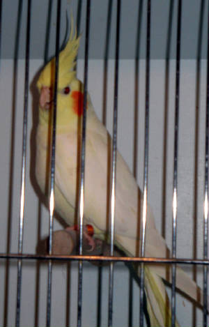 img_5767_edited.jpg