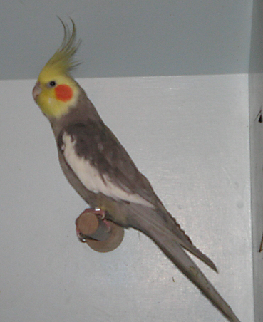 img_6961_1_1_edited.jpg